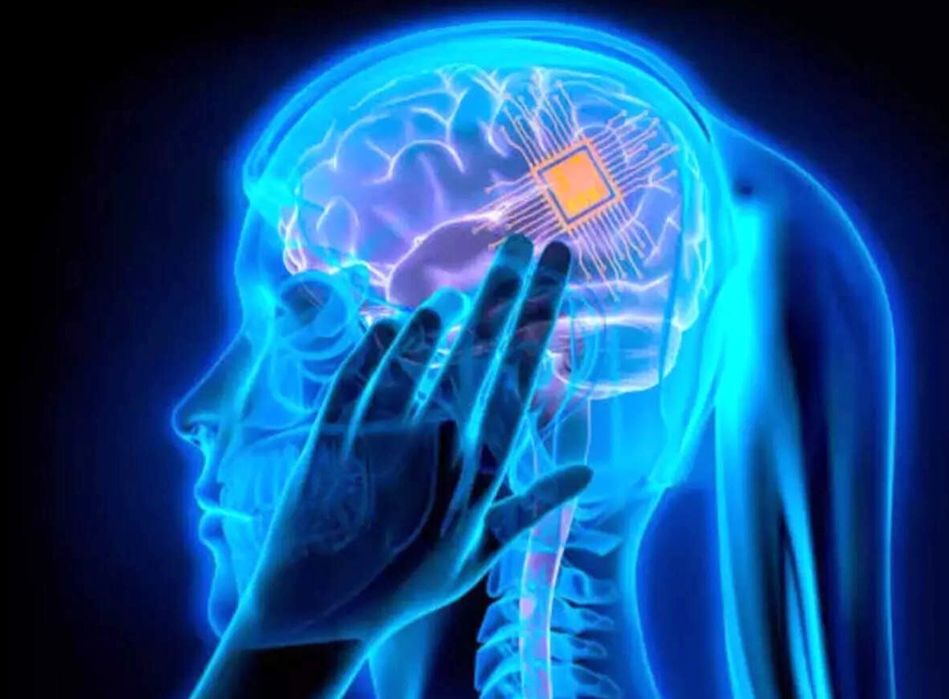 Brain 