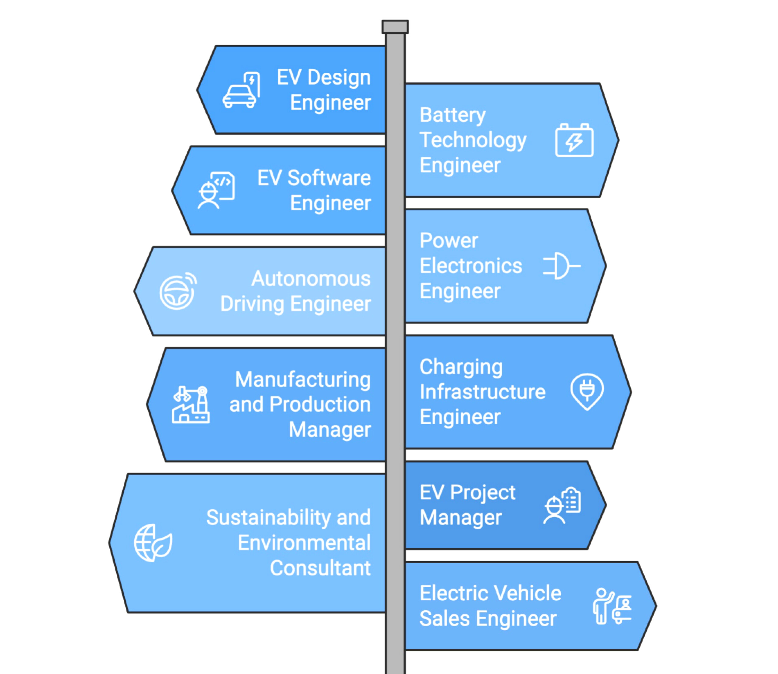 Career 