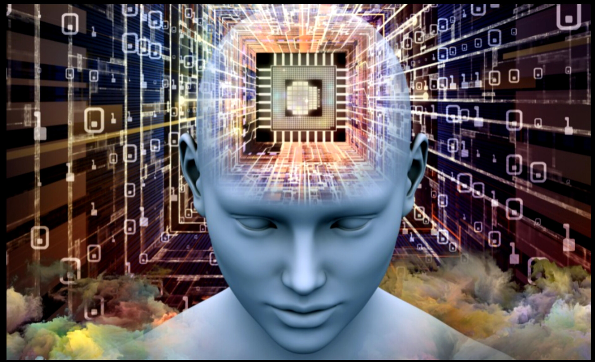 Brain 