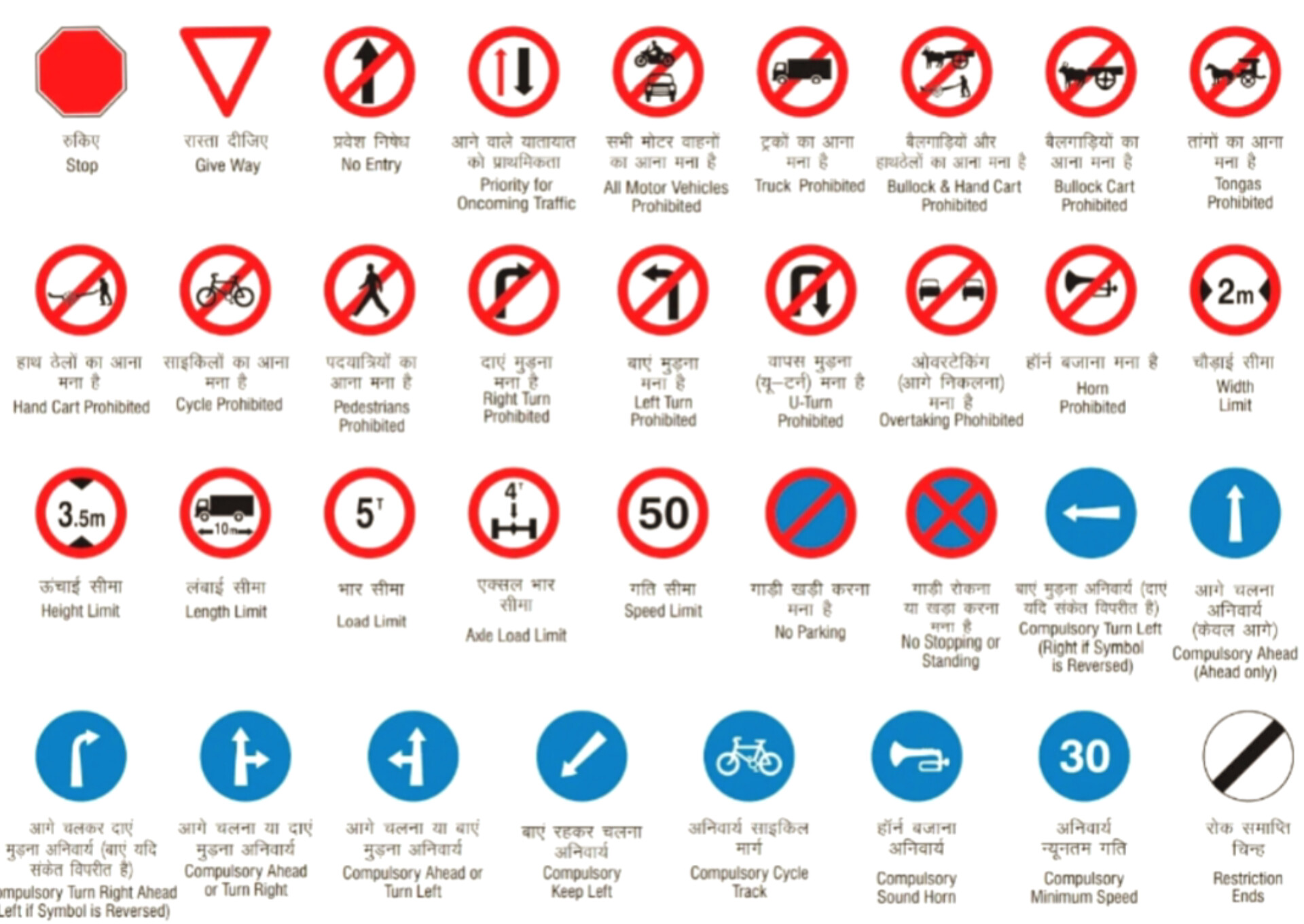 Learner Licence